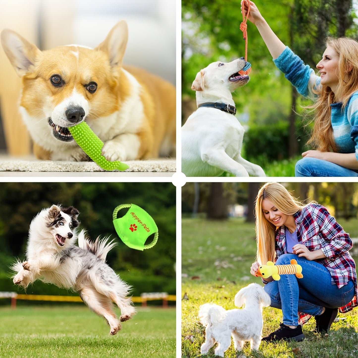Dogs, Dog Rope Toy Set. jpg