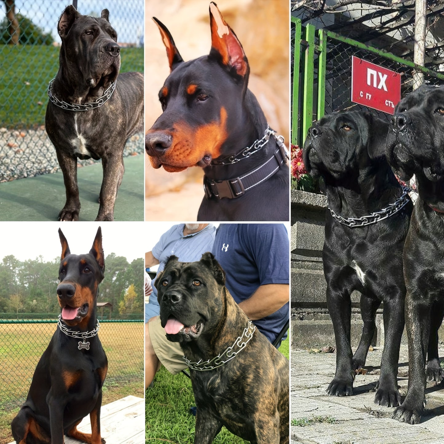 Prong Collar For Dogs, Pinch Collar Adjustable Dog Training Collar Choke Spike No Pull Martingale Collars With Quick Release Buckle For Small Medium Large Dogs 14" To 26"