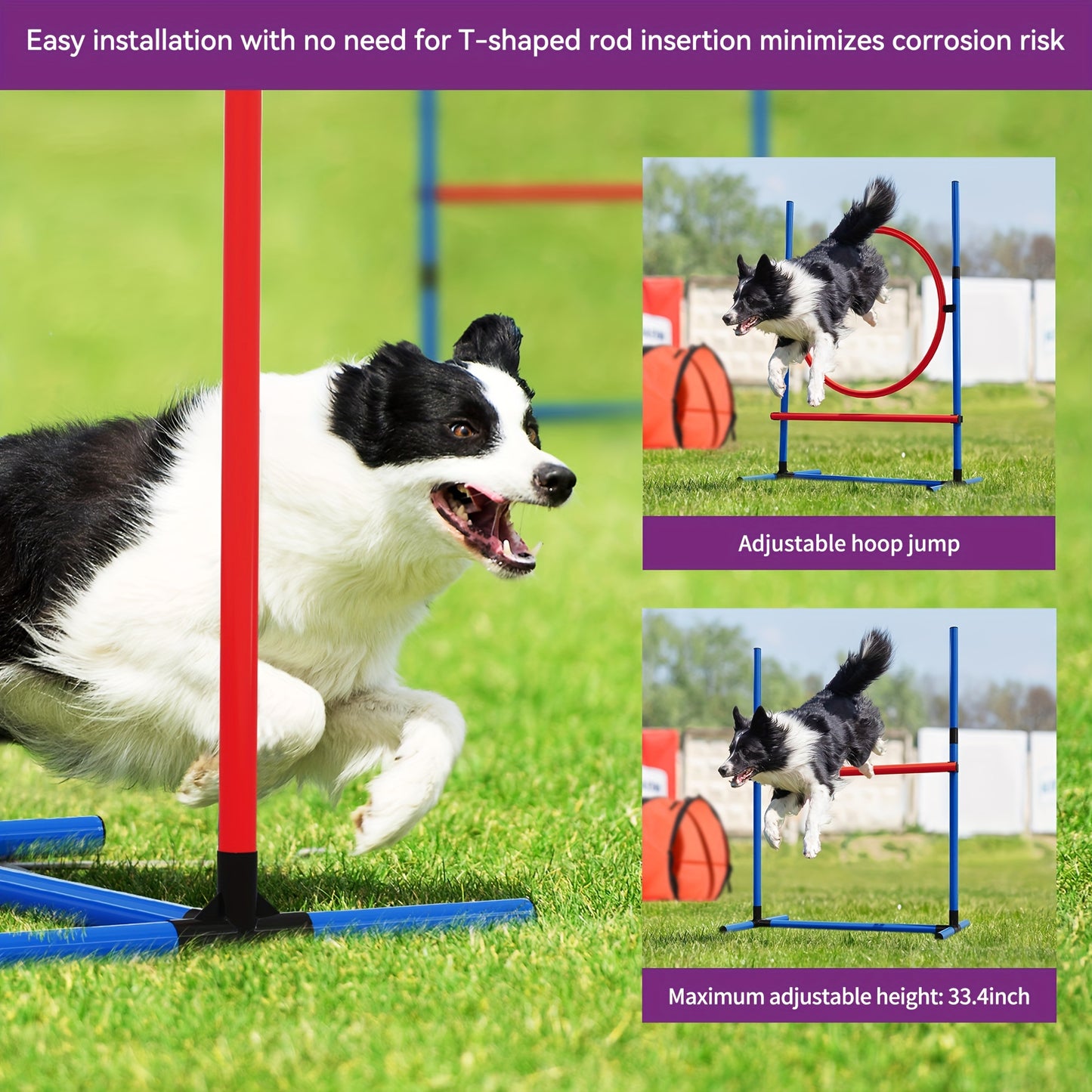 Dog Agility Course Set with Discs, Jumps, Weave Poles