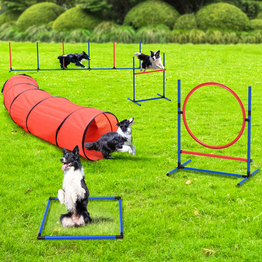 Dog Agility Course Set with Discs, Jumps, Weave Poles
