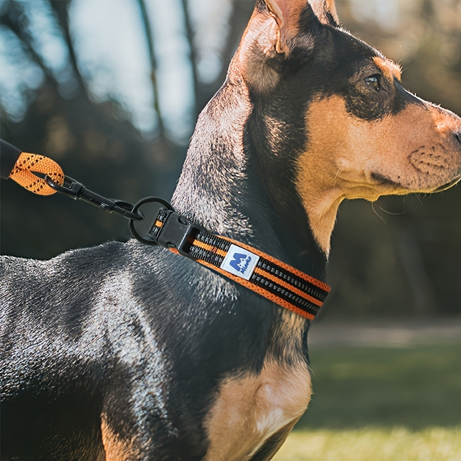 [Reflective Dog Collar] Reflective Adjustable Dog Collar | Breathable Nylon Strap with Strong Pin Buckle & Metal D-Ring for Small, Medium, and Large Dogs - Turquoise & Black Design