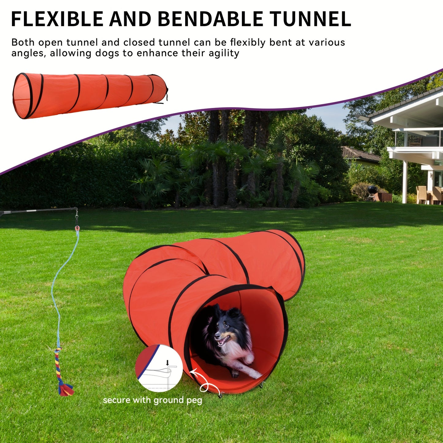 Dog Agility Course Set with Discs, Jumps, Weave Poles